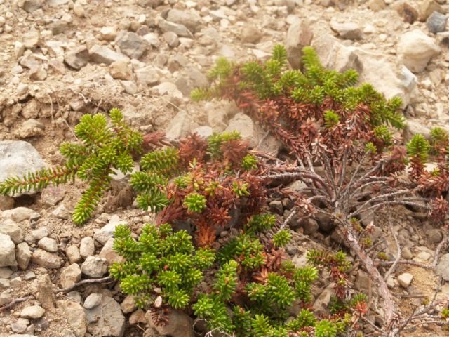 d0025568_15123777.jpg