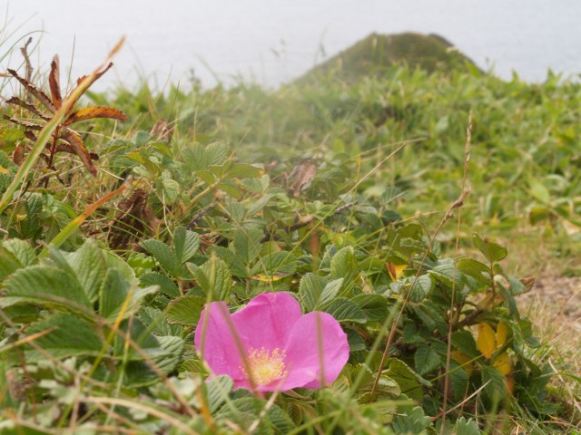 d0025568_1582469.jpg