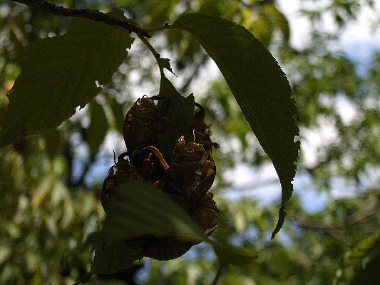 b0084270_2132528.jpg