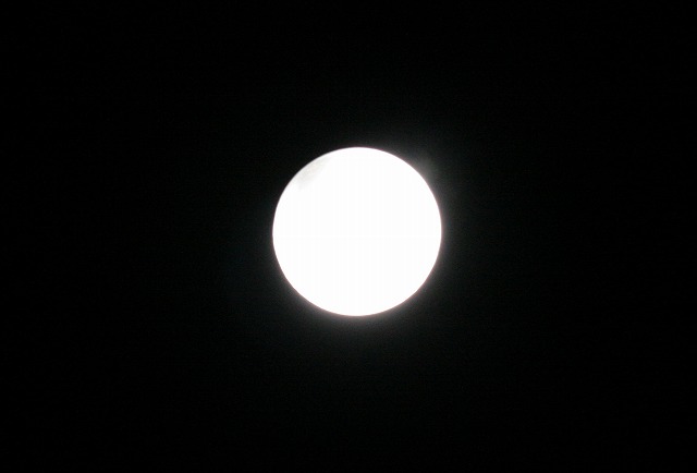 c0126271_1953519.jpg