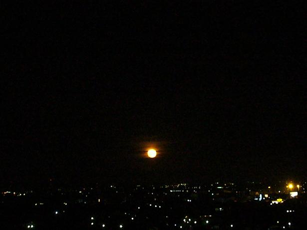 b0019182_224458.jpg