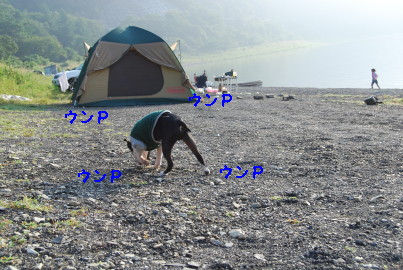 c0092787_10251696.jpg
