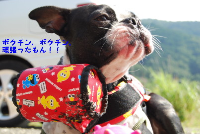 c0092787_10405335.jpg