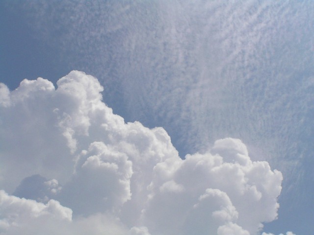 c0034595_10493191.jpg
