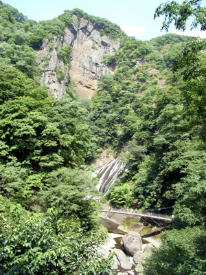 a0090996_03596.jpg