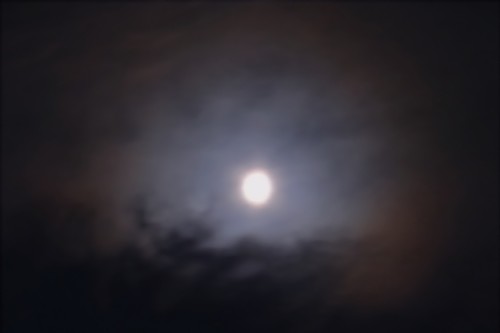 b0105199_16305534.jpg