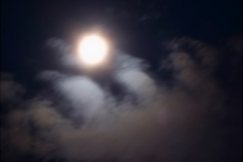 b0105199_16312430.jpg