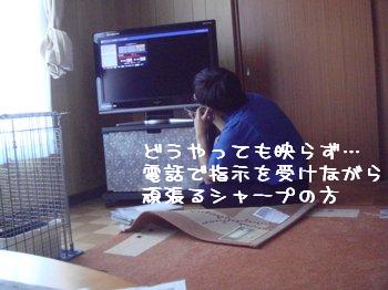 b0081503_1231364.jpg