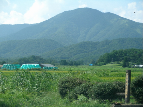 c0036203_19331221.jpg