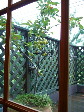 f0065604_2271336.jpg
