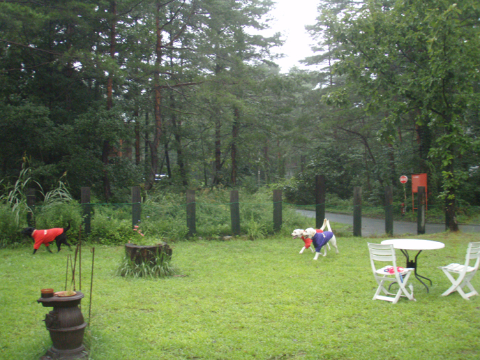 c0089005_14325660.jpg