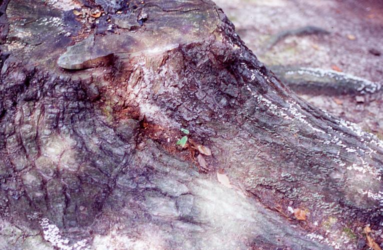d0071507_2271323.jpg
