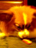 d0077607_23294244.jpg