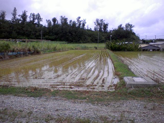 e0071811_2141440.jpg
