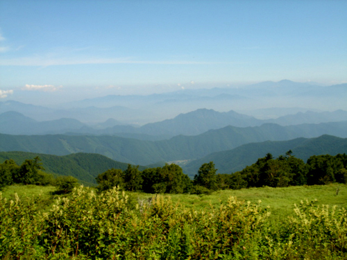 d0113613_11562627.jpg