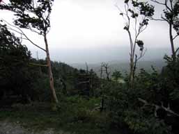 e0069615_1438799.jpg