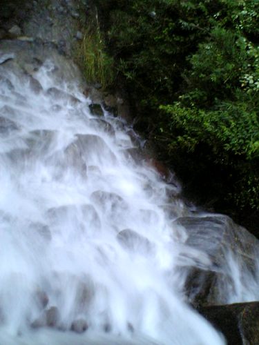 e0119017_1225055.jpg