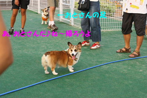 e0071225_15402227.jpg