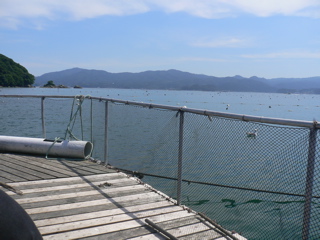 b0044528_2362553.jpg