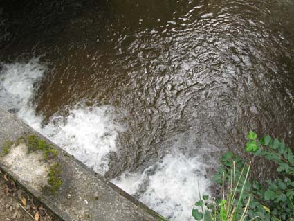 d0109728_093427.jpg