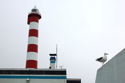 f0095128_22532068.jpg