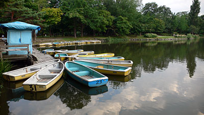 a0046429_21332519.jpg