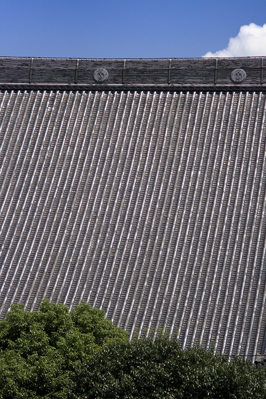 d0004832_19481629.jpg