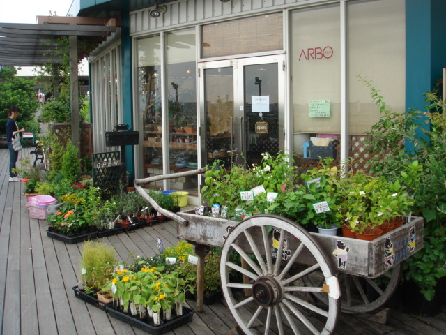 c0100534_20574765.jpg