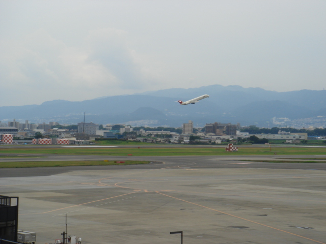 c0100534_2059388.jpg