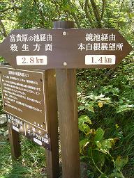 f0065941_1714722.jpg