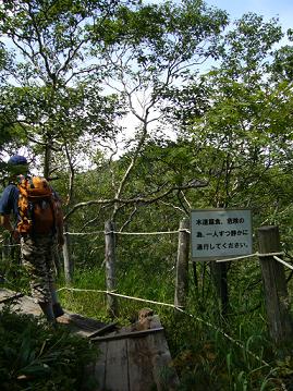 f0065941_17154416.jpg