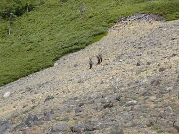 f0065941_17425372.jpg