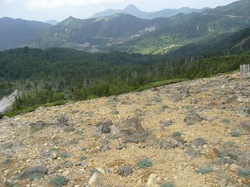 f0065941_17482461.jpg