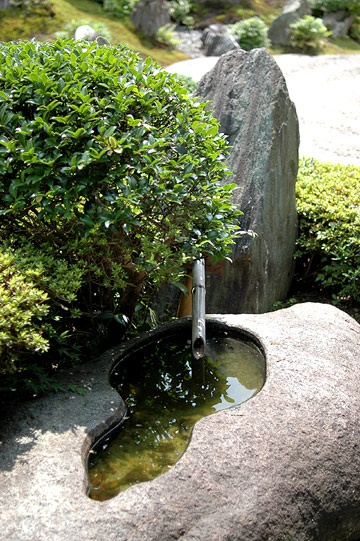 d0008146_2352267.jpg