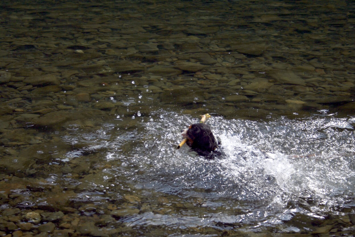 f0039446_14471443.jpg
