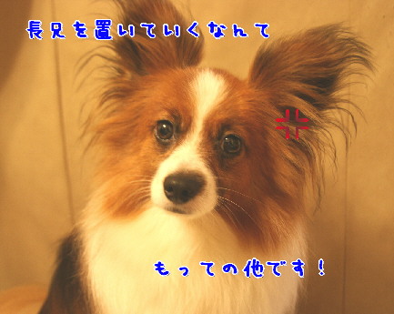d0013149_2405050.jpg