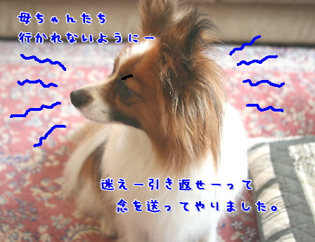 d0013149_3241255.jpg