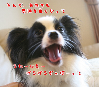 d0013149_3709.jpg