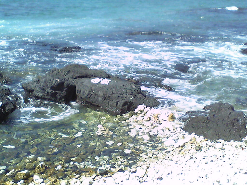 f0021153_2036013.jpg