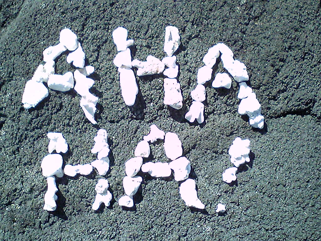 f0021153_2036452.jpg