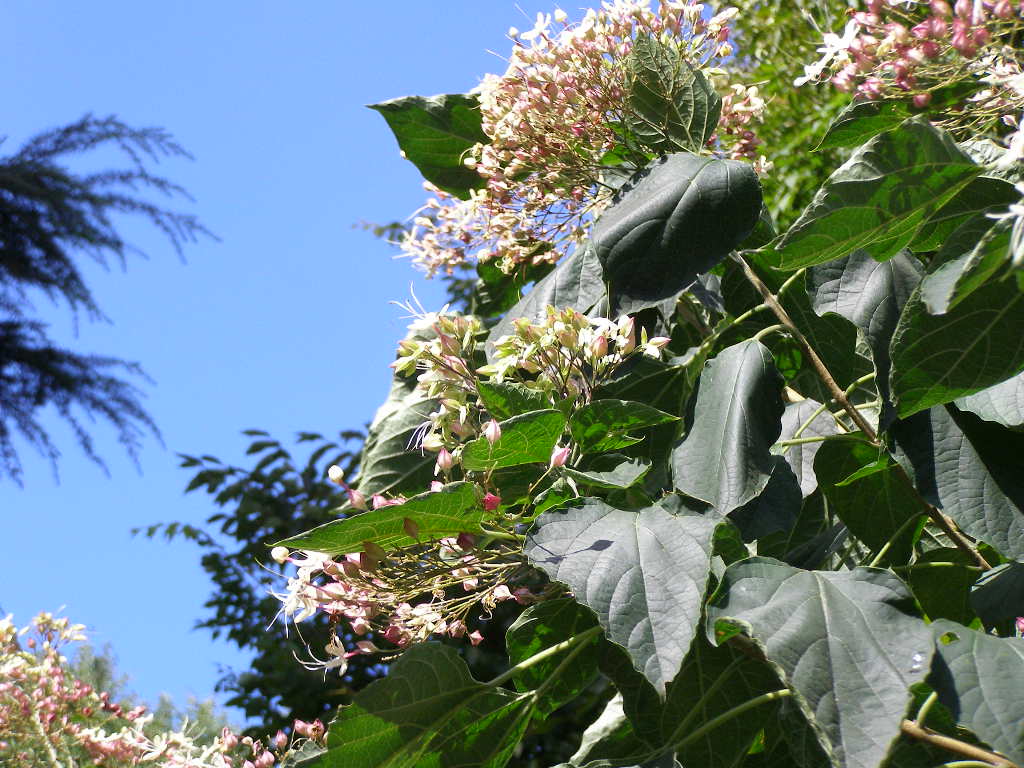 e0064158_202050.jpg