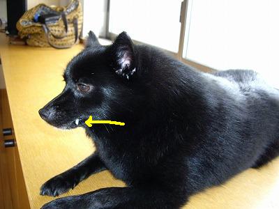 e0002466_1326010.jpg