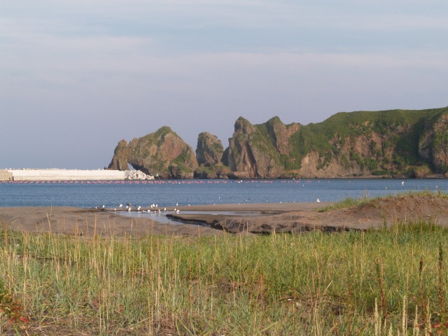 d0025568_10242494.jpg