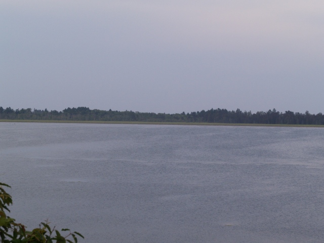 d0025568_10575958.jpg