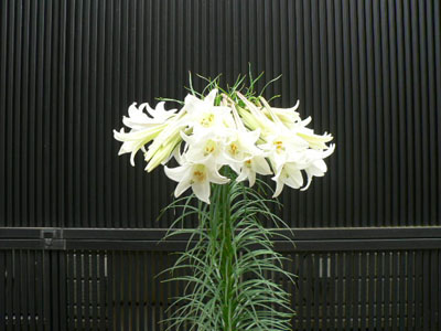 f0086169_2322182.jpg