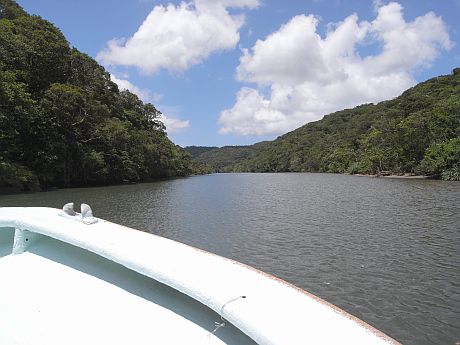 c0121474_1145377.jpg