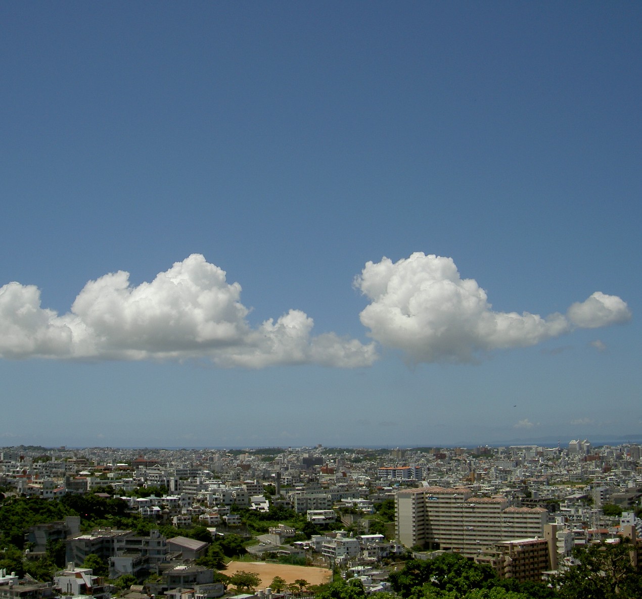 f0119082_19444114.jpg