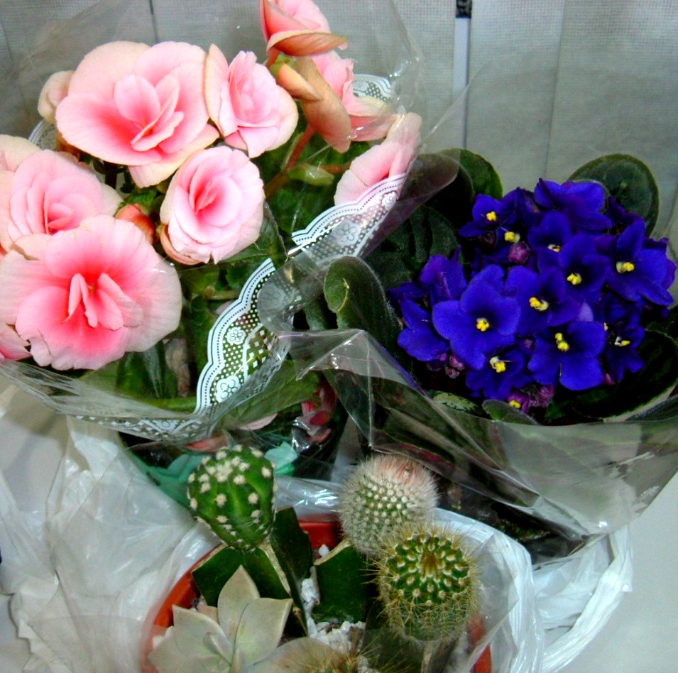 e0118096_2130363.jpg