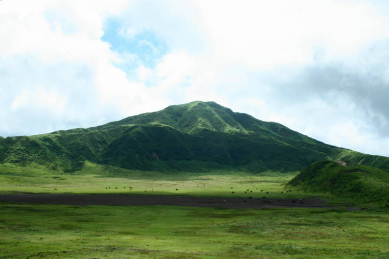f0031304_2311328.jpg