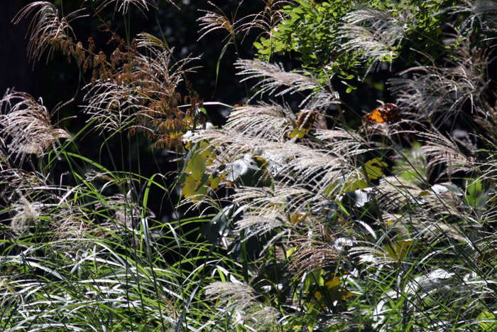 c0089005_9412225.jpg